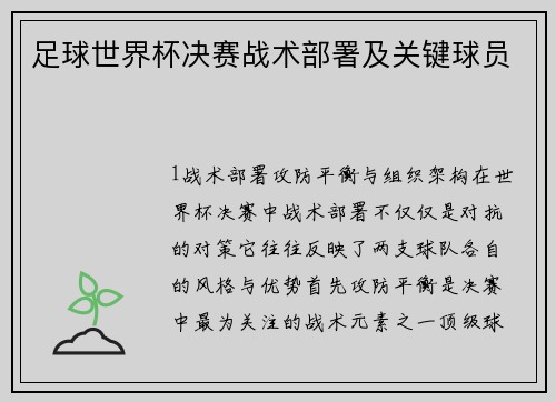 足球世界杯决赛战术部署及关键球员
